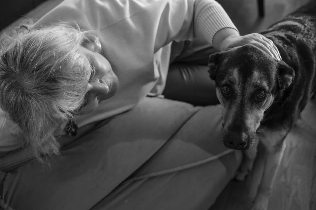 Featured image for “A Quick Start Guide to Emotional Support Animal Qualification”